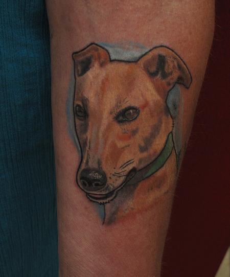 Robert Hendrickson - fawn Greyhound portrait 